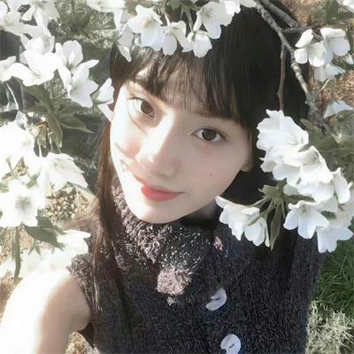 赛马娘巅峰之路